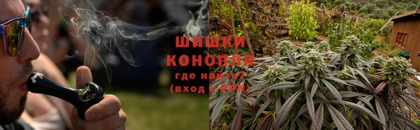 мяу мяу мука Надым