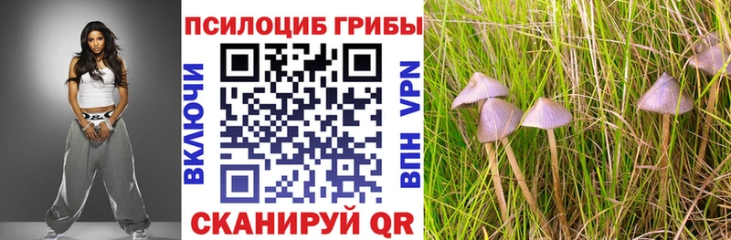 Псилоцибиновые грибы мухоморы  Купить закладки  Сорск 