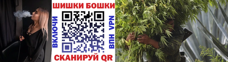 Купить закладки  Сорск  Бошки Шишки марихуана 